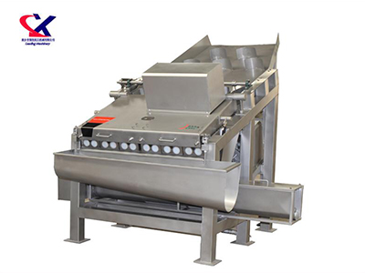 新疆荔枝剥壳机