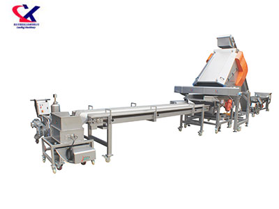 新疆葡萄除梗粒选生产线