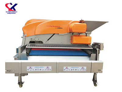 新疆链板式葡萄除梗粒选机