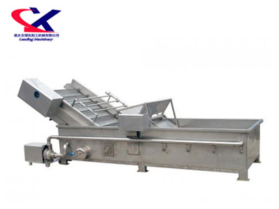 新疆火龙果洗果机