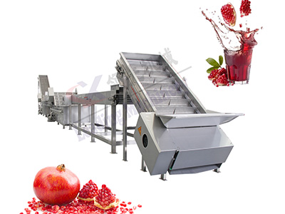 新疆石榴果酒生产线