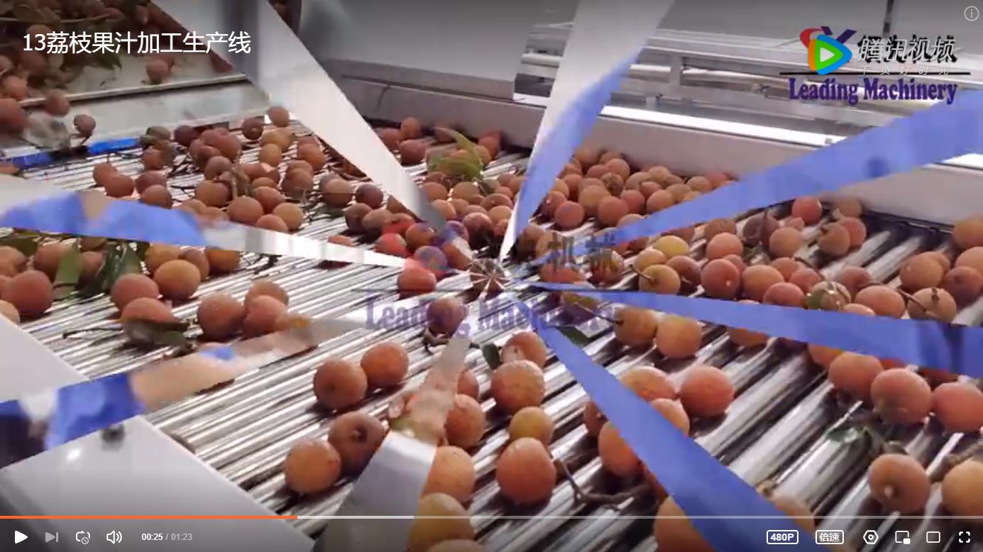 荔枝果汁加工生产线