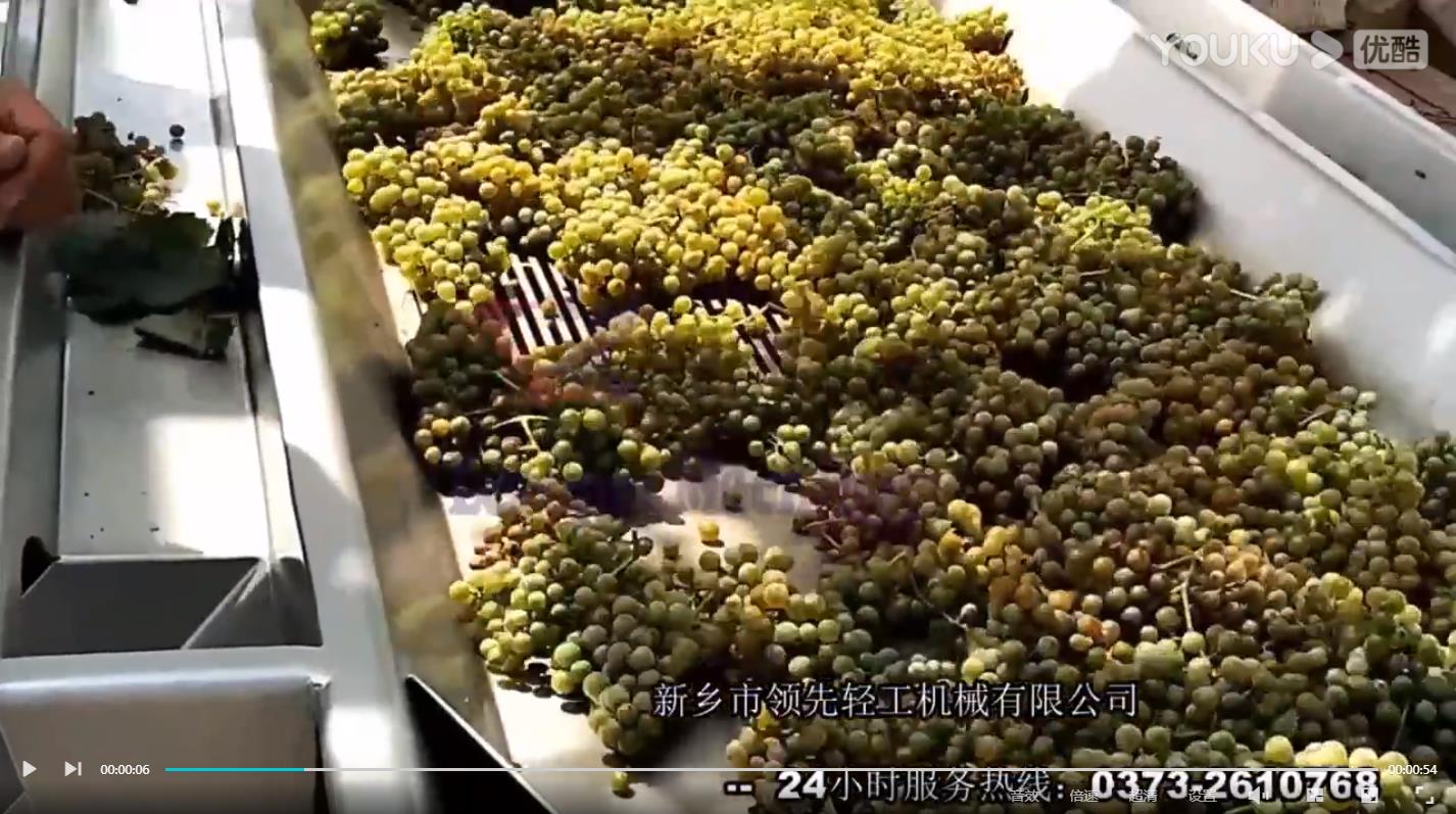 振动式葡萄除梗粒选生产线